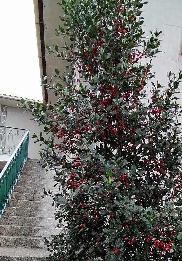 Вилла Moradia Santa Comba Санта-Комба-Дан Экстерьер фото